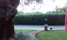 Enlarge photo 157
