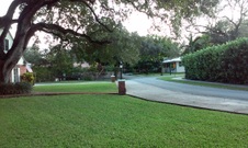 Enlarge photo 161