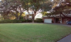 Enlarge photo 169