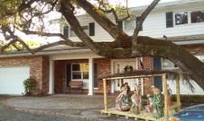 Enlarge photo 175