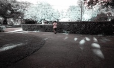 Enlarge photo 179