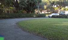 Enlarge photo 181