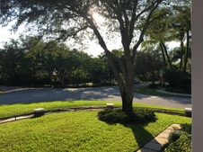 Enlarge photo 39