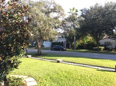 Enlarge photo 40