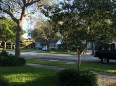 Enlarge photo 54