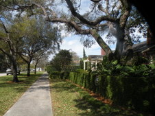 Enlarge photo 312
