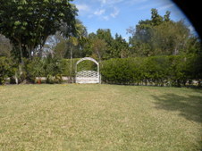 Enlarge photo 323