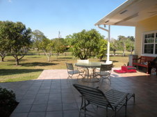 Enlarge photo 330