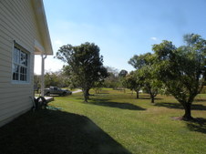 Enlarge photo 331