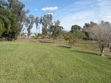 Enlarge photo 338
