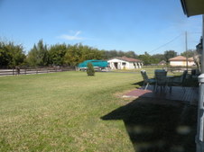 Enlarge photo 341