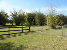 Enlarge photo 342