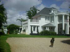 Enlarge photo 85