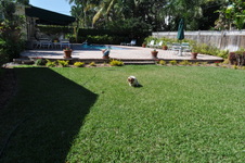 Enlarge photo 23