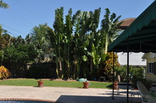 Enlarge photo 29