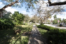 Enlarge photo 55