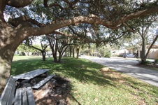 Enlarge photo 124