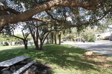 Enlarge photo 126