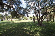 Enlarge photo 127