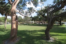 Enlarge photo 132