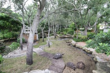 Enlarge photo 126