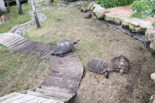 Enlarge photo 127