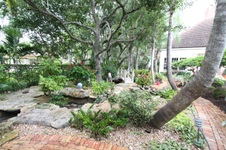 Enlarge photo 129