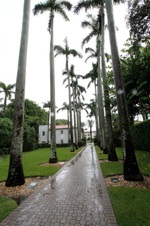 Enlarge photo 158