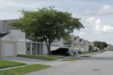Enlarge photo 78