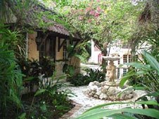 Enlarge photo 53