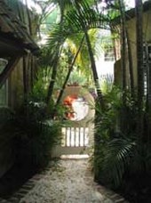 Enlarge photo 54