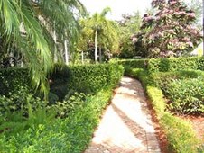 Enlarge photo 338