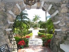 Enlarge photo 342