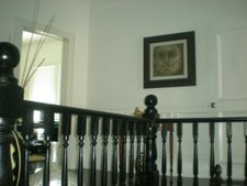 Enlarge photo 387