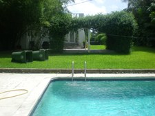 Enlarge photo 427