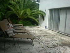 Enlarge photo 429