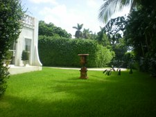 Enlarge photo 430