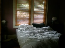 Enlarge photo 513