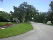 Enlarge photo 522
