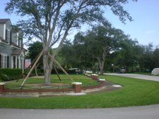 Enlarge photo 521