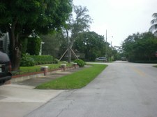 Enlarge photo 523
