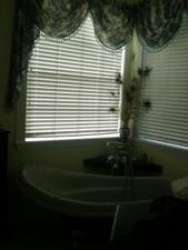 Enlarge photo 581