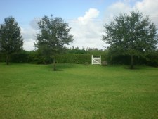 Enlarge photo 558
