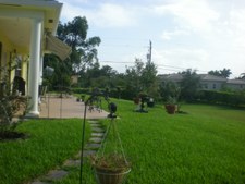 Enlarge photo 562
