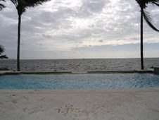 Enlarge photo 309