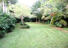 Enlarge photo 78