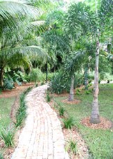 Enlarge photo 79