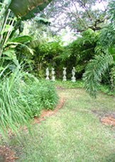 Enlarge photo 81