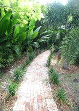 Enlarge photo 82