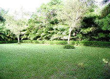 Enlarge photo 102